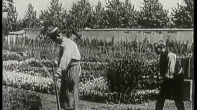 «Политый поливальщик» (Франция, 1985 год) смотреть онлайн