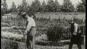 «Политый поливальщик» (Франция, 1985 год)