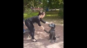 Прогулка по городу Раменское, Московской области.2019г