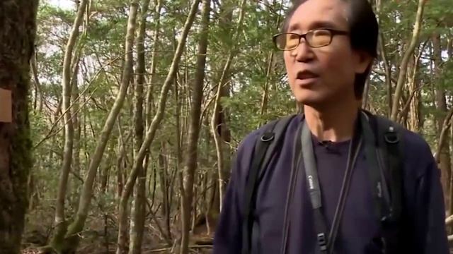 Аокигахара.Лес самоубийц.Япония_Suicide Forest in Japan 1ч