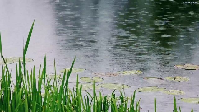 Лучшая музыка поможет снять усталость от стресса? успокоит нервную систему смотреть онлайн