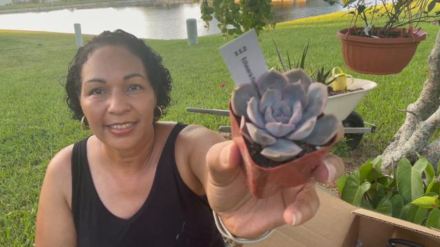 Huge Unboxing from The Next Gardener || Peaceful Unboxing By The Lake смотреть онлайн