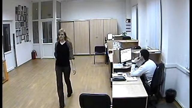 RVi E21 - Камера видеонаблюдения купольная смотреть онлайн