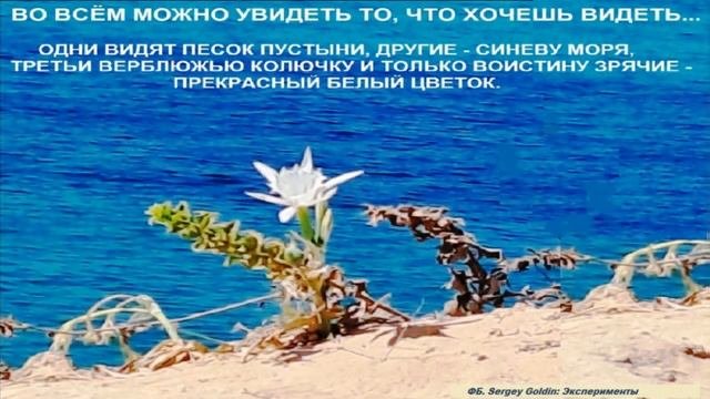 МАЛЕНЬКИЕ ЖИТЕЙСКИЕ МУДРОСТИ. Выпуск 13 - О красоте в жизни и ее быстротечности...