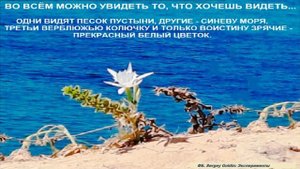 МАЛЕНЬКИЕ ЖИТЕЙСКИЕ МУДРОСТИ. Выпуск 13 - О красоте в жизни и ее быстротечности...
