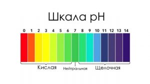 Регулятор кислотности PLAGRON PH- для воды понижающий 500 мл и 1 литр