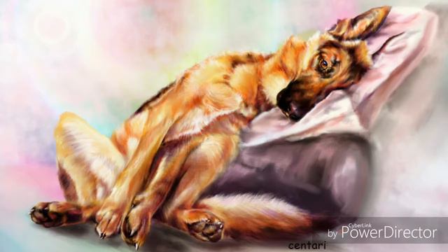 Животные (часть 2) смотреть онлайн