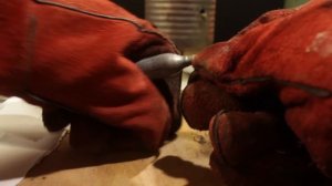 ? ПОЛУЧЕНИЕ КАЛИЯ И НАТРИЯ В ДОМАШНИХ УСЛОВИЯХ своими руками