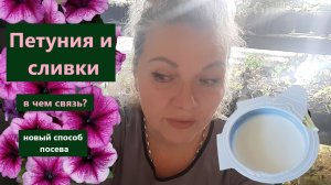 Сею петунии новым способом. Лайфхак со "сливками" это просто и удобно.