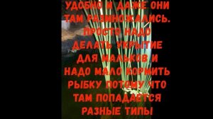 Правильное содержание аквариумных рыбок пруду