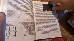 Обзор книги Сибирская обманка