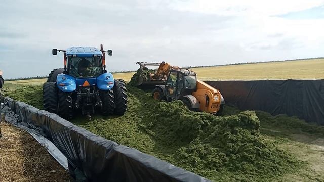 ЗАГОТОВКА СЕНАЖА И СИЛОСА В ФЕРМЕРСКОМ ХОЗЯЙСТВЕ | ЗАГОТОВКА КОРМОВ