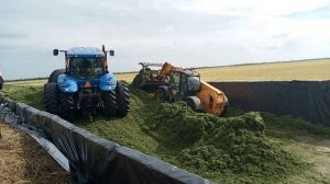ЗАГОТОВКА СЕНАЖА И СИЛОСА В ФЕРМЕРСКОМ ХОЗЯЙСТВЕ | ЗАГОТОВКА КОРМОВ