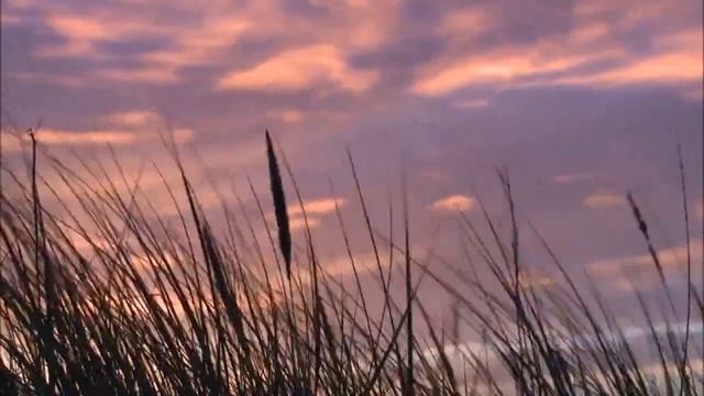 Весенние сюжеты ? Стихи Лидии Тагановой под очаровательную музыку Эдгара Туниянца смотреть онлайн