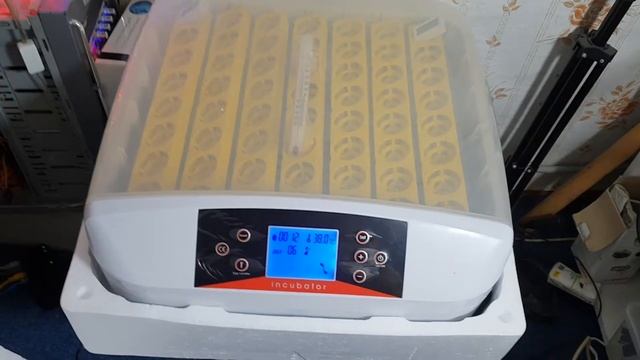 Не покупайте Инкубатор для яиц модели 56S смотреть онлайн