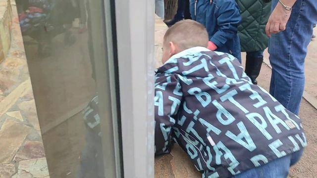 Детёныш макаки и человеческий детёныш нашли друг друга в зоопарке Cанкт-Петербурга смотреть онлайн