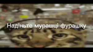 Ой летіли дикі гуси