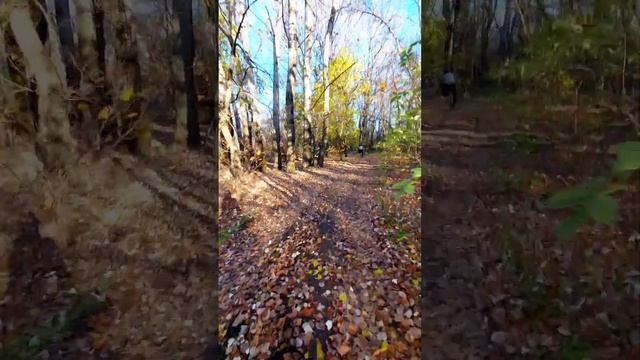 Катаемся на велосипеде. Самая тёплая осень. 31 октября +21 смотреть онлайн