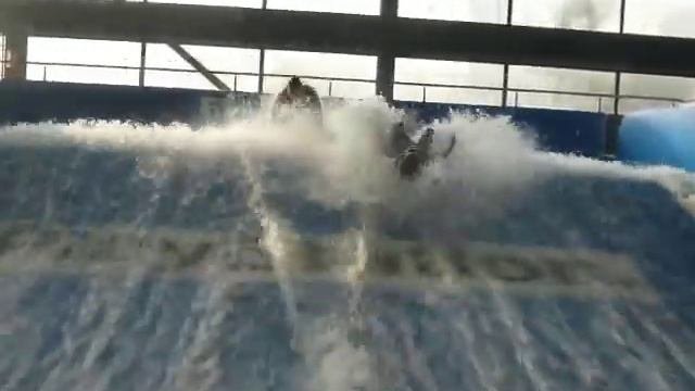 Bodyboarden Bij DWD