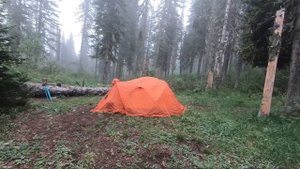 Синюха 2023. Та самая гора, что рядом с Белокурихой.   Впечатления июня