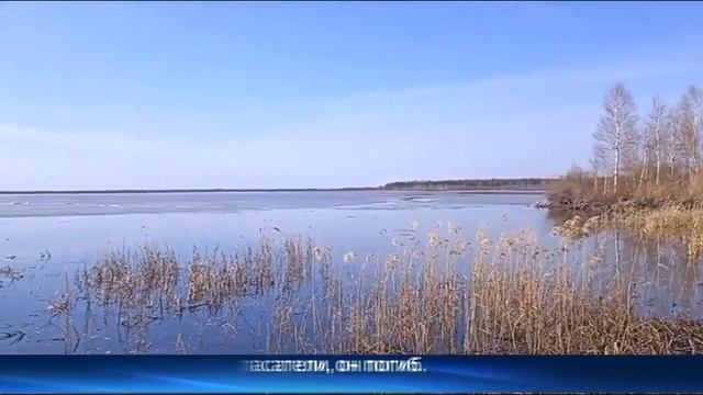 Рыбак утонул в озере в Тюменской области смотреть онлайн