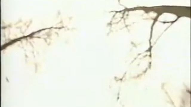 Православие юродивый Иван Корейша смотреть онлайн