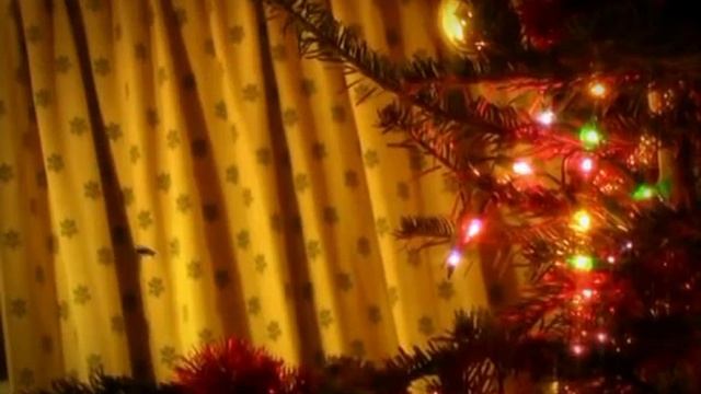Новогодние Букашки