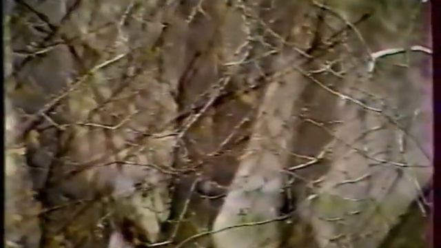 Василий Шульженко (видео 1985-1996 г.) (ч.4)