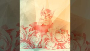 Мечты (Котята)
