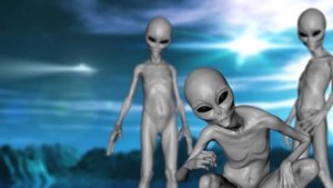 Виды инопланетян. Расы представителей инопланетных цивилизаций. Серые, норды, инсектоиды, ануннаки