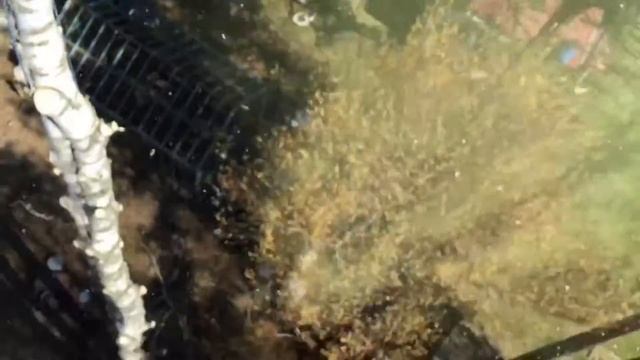 Отзывы о нас SPIL-SPB о нас за 1 минуту!