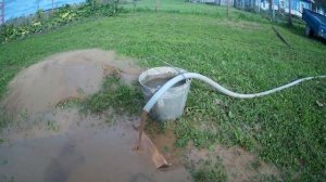 как получить из плывуна много чистой воды в колодце