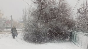 г. Цимлянск. Метель. 06.02.2020 г.mp4