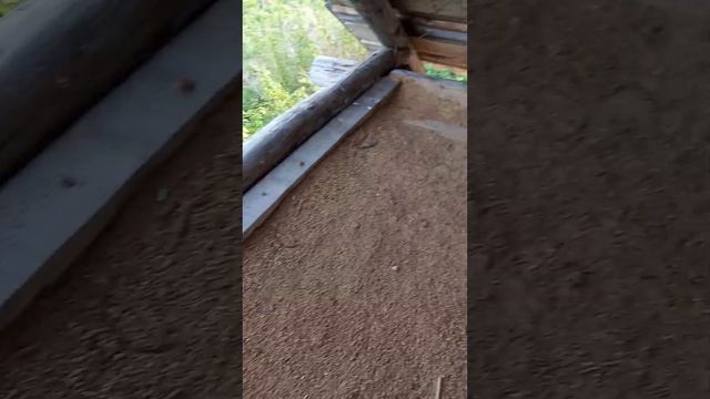 как и чем утеплить потолок в бане? смотреть онлайн