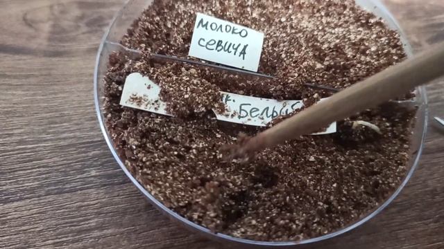 Выращивание тонколистных и видовых пионов из семян. проращивание семян