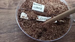 Выращивание тонколистных и видовых пионов из семян. проращивание семян