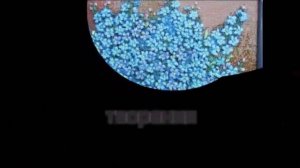 Тост в День Рождения