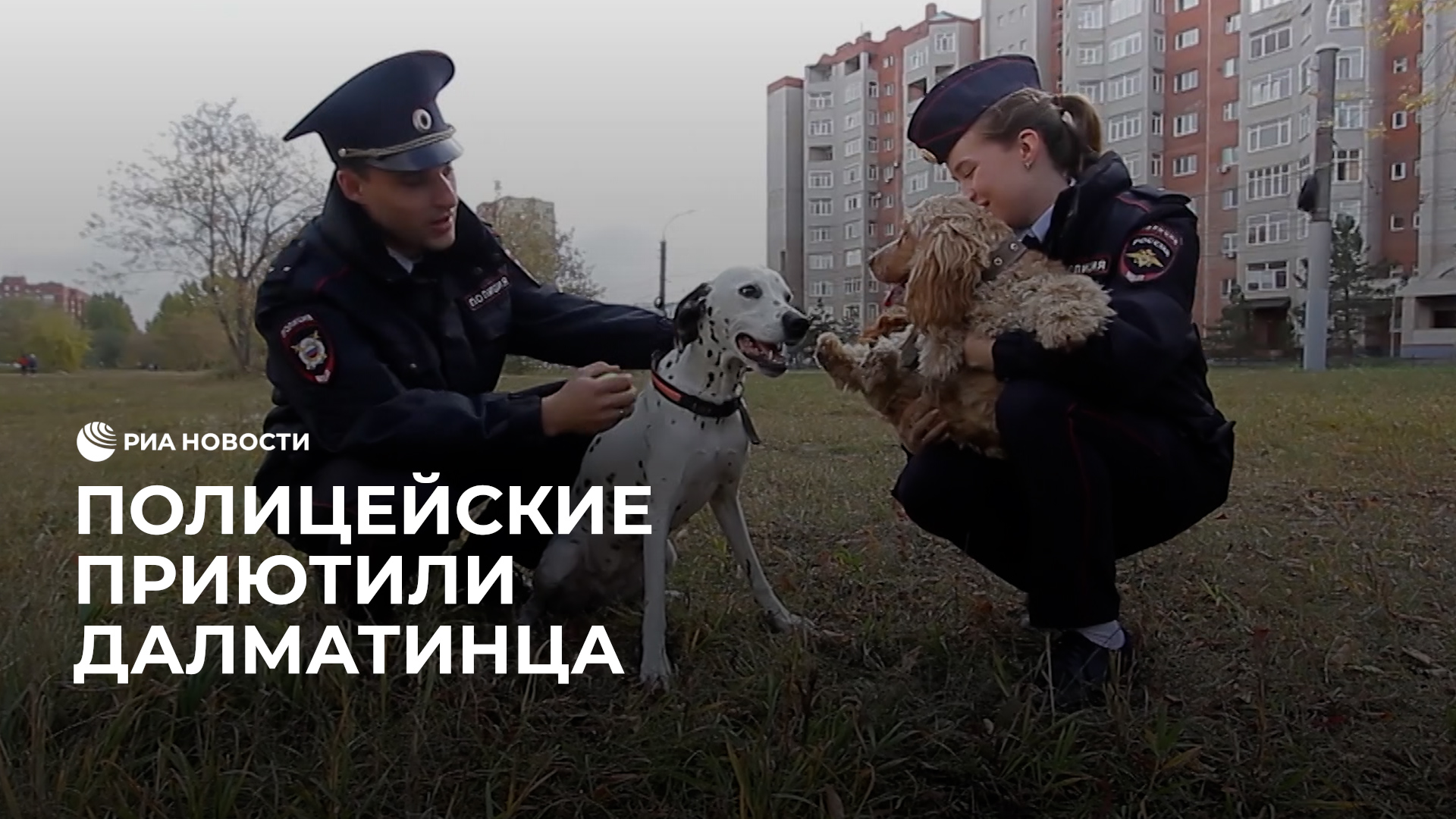 Семья полицейских приютила далматинца