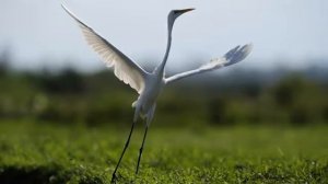 легкая медленная музыка для сна ребенка