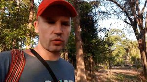 Чего надо бояться в парке Кат Тьен во Вьетнаме? Три главных опасностей вьетнамских джунглей.Cat Tie