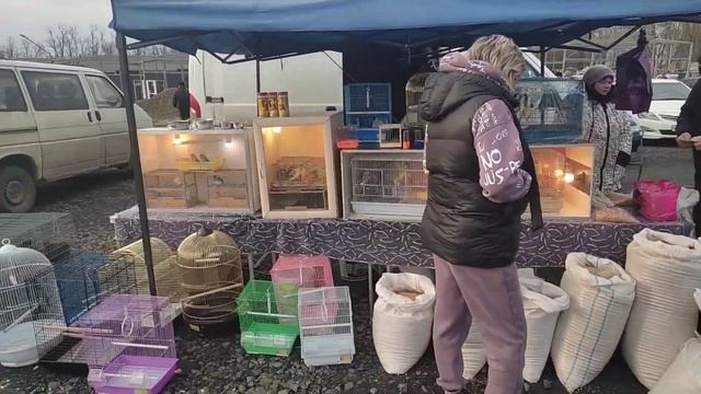 Прошла первая ВСЕРОССИЙСКАЯ ВЫСТАВКА ЯРМАРКА ПТИЦ. Начало положено, возвращаемся к лучшим традициям