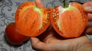 Томат Юнга гигантский Оксхард. Тест зрелых плодов №2.