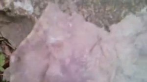 СВОБОДНАЯ АЛЬТЕРНАТИВНАЯ ИСТОРИЯ-ПСКОВ