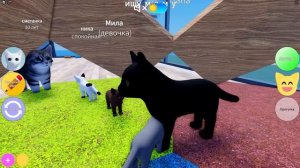 ИЩЕМ МАМУ В ИГРЕ ПРО КИСИКОВ! Roblox Kitten Game