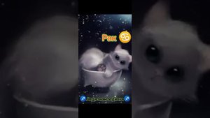 Какая ты песня по зз 1 часть #рек#❤🧡💛💚💙💜🖤🤍🤎⛎♈♉♊♋♌♍♎♏♐♑♒♓