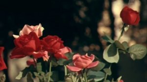 Ренат Ибрагимов - Дарите женщинам цветы.