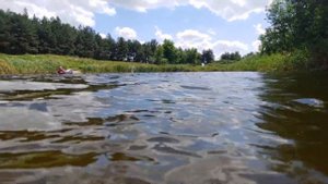 Филия Днепропетровская обл./река Волчья