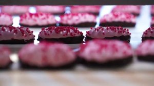 Производство зефира ТМ "Festini"