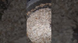 для профилактики от паразитов тыквенные семечки и чеснок