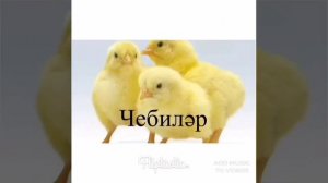 Татар теле. Татарский для детей. Йорт хайваннары